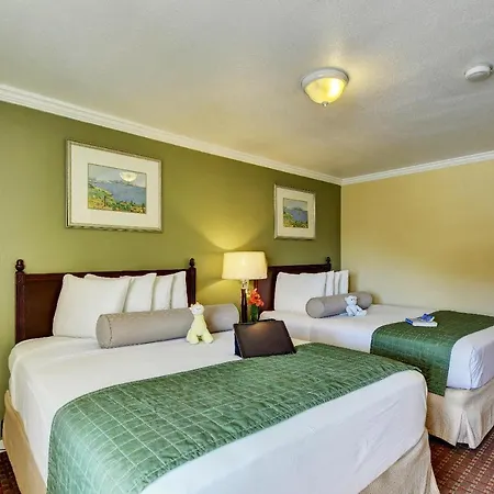 Traveler'S Inn Williams, Ca Modern Renovated Hotel Exterior foto