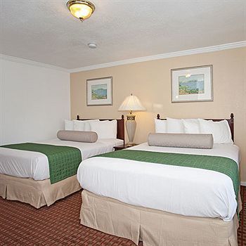 Traveler's Williams, Ca Modern Renovated