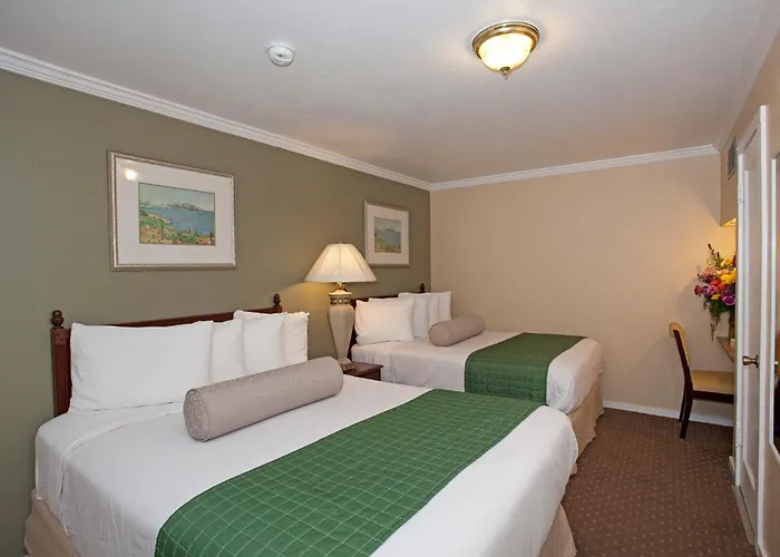 Traveler\'S Inn Williams, Ca Modern Renovated Hotel